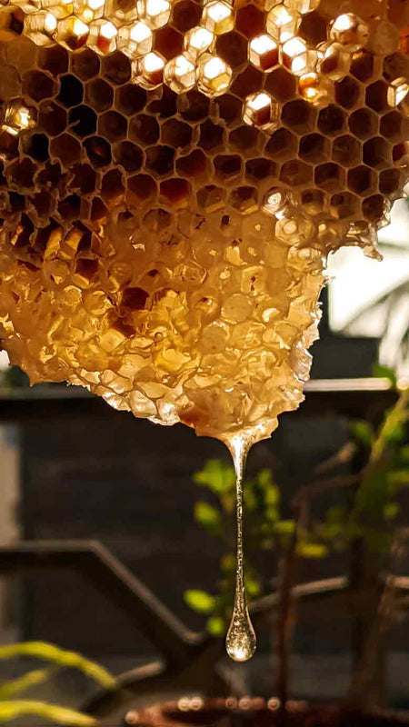 miere de albine naturala